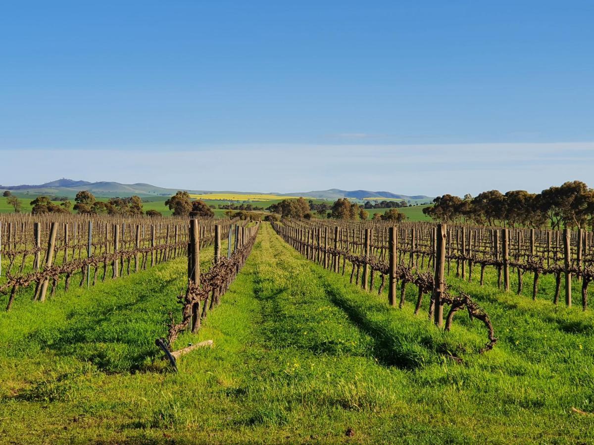 Villa Belalie Wines Jamestown Exterior foto